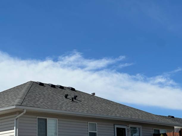 Best Hot Roofs  in Priest River, ID